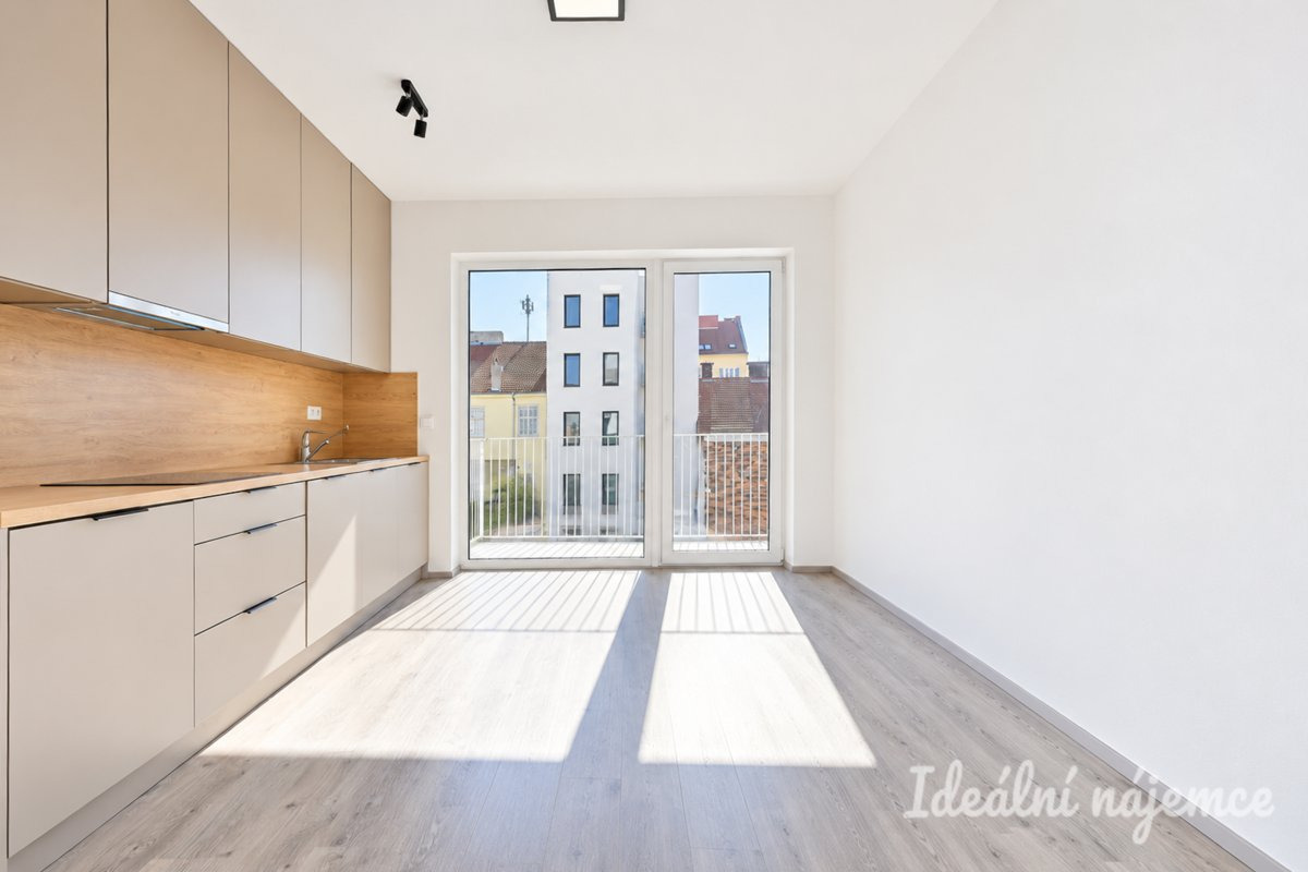 Pronájem bytu 1+kk, Křenová, Trnitá,  Kč/měs, 40 m2