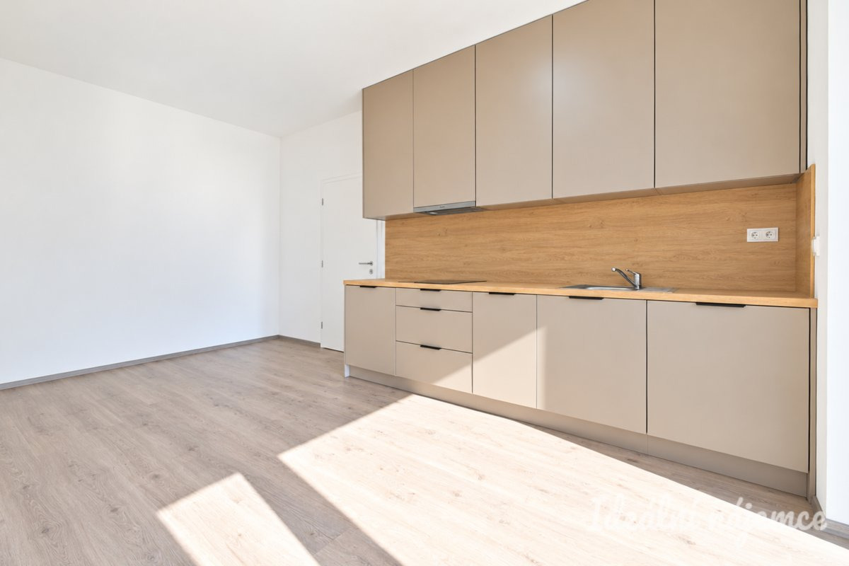 Pronájem bytu 1+kk, Křenová, Trnitá,  Kč/měs, 40 m2