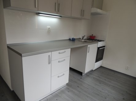 Pronájem bytu, 2+1, 55 m²