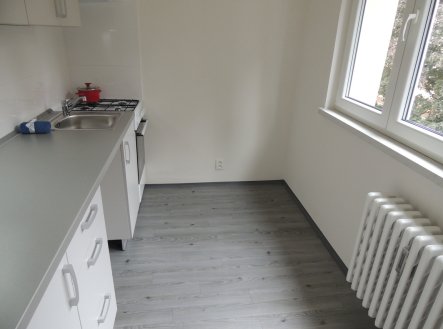 Pronájem bytu, 2+1, 55 m²