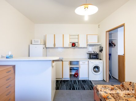Pronájem bytu, 1+1, 39 m²