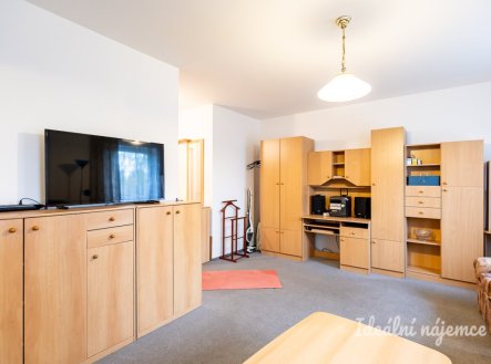 Pronájem bytu, 1+1, 39 m²