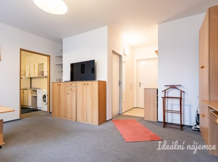 Pronájem bytu, 1+1, 39 m²