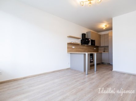 Pronájem bytu, 2+kk, 44 m²