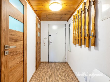 Pronájem bytu, 1+kk, 25 m²
