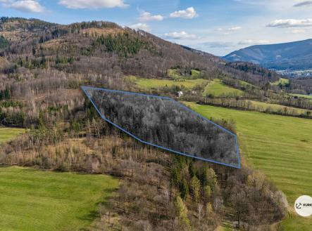 Prodej pozemku, les, 20 736 m² obrázek