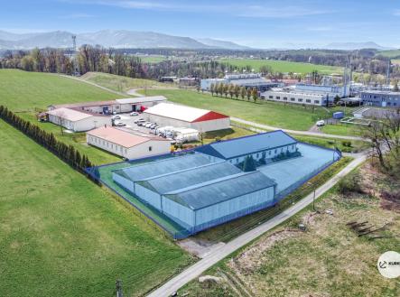 Prodej obchodní prostor, 1 300 m²