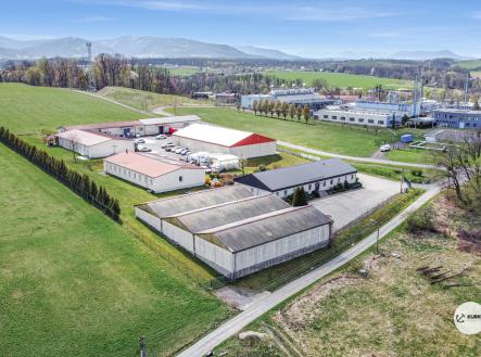 Prodej obchodní prostor, 1 300 m²