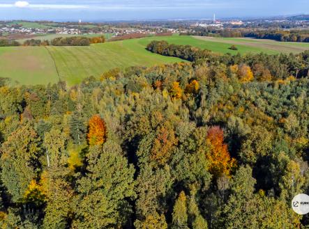 Prodej pozemku, les, 29 217 m²