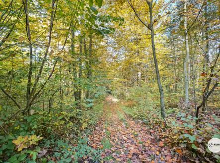 Prodej pozemku, les, 29 217 m²