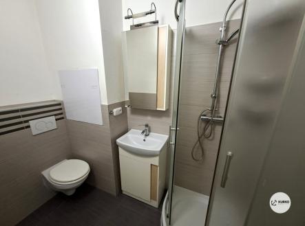 Pronájem bytu, 1+1, 37 m²