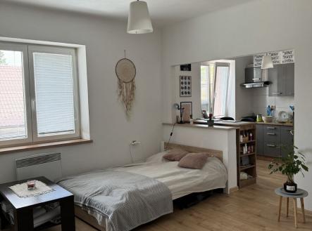 Pronájem bytu, 1+1, 33 m²
