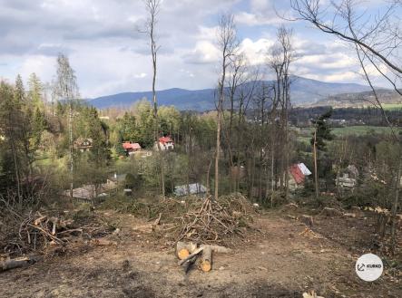 Prodej pozemku pro bydlení, 6 986 m²