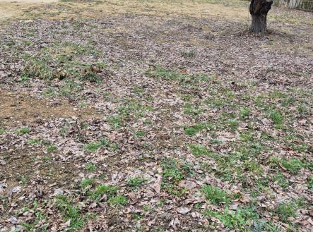 Prodej pozemku pro bydlení, 1 021 m²