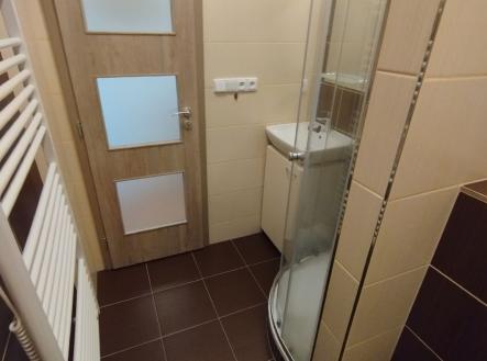 Pronájem bytu, 1+kk, 21 m²