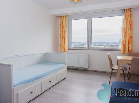 Pronájem bytu, 1+kk, 23 m²