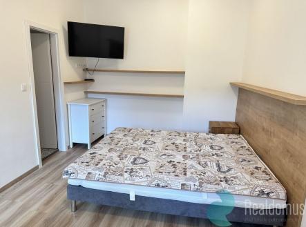 Pronájem bytu, 1+kk, 19 m²