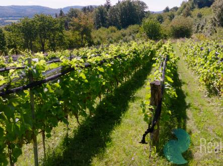 Prodej pozemku, ostatní, 8 045 m²