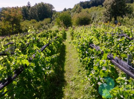 Prodej pozemku, ostatní, 3 239 m²