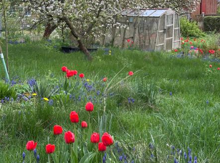 Prodej pozemku pro bydlení, 929 m²