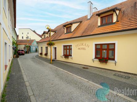 Prodej hotel, 300 m²