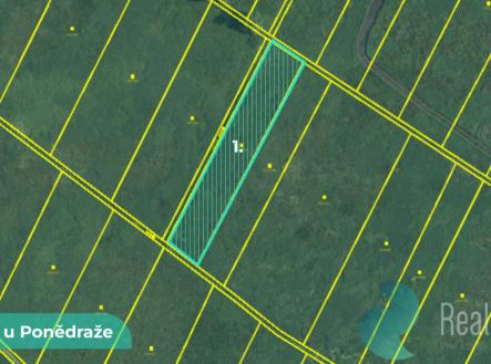 Prodej pozemku, zemědělská půda, 4 195 m²