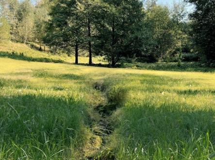 Prodej pozemku, trvalý travní porost, 6 838 m²