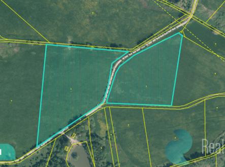 Prodej pozemku, trvalý travní porost, 12 559 m²