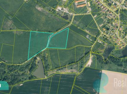 Prodej pozemku, trvalý travní porost, 12 559 m²