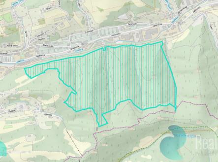 Prodej pozemku, les, 12 054 m²