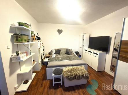 Pronájem bytu, 1+1, 42 m²