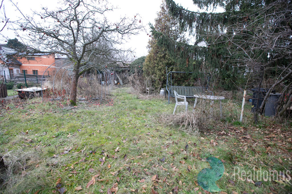 5d4-9126.jpg