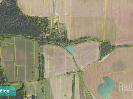 Prodej pozemku, zemědělská půda, 2 891 m²