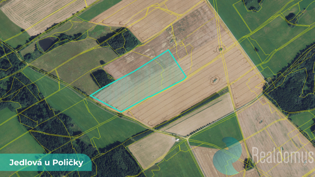 jedlova-u-policky-2.png