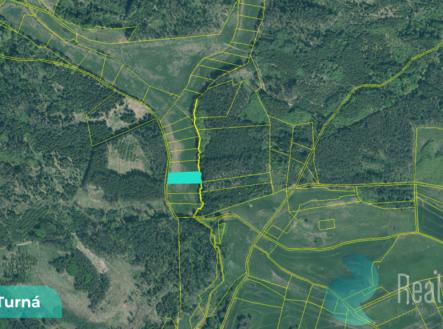 Prodej pozemku, trvalý travní porost, 2 199 m²