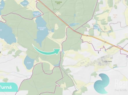 Prodej pozemku, trvalý travní porost, 2 199 m²