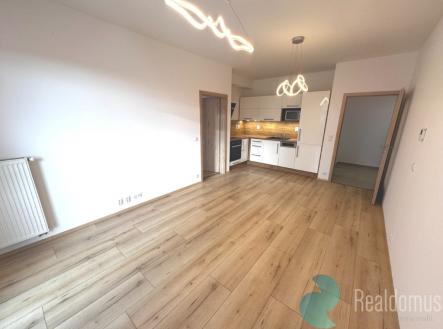 Pronájem bytu, 2+kk, 55 m²
