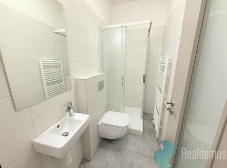 Pronájem bytu, 1+1, 28 m²