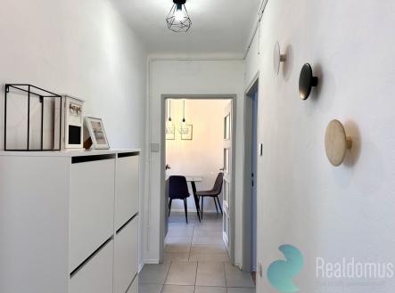 Pronájem bytu, 1+1, 45 m²