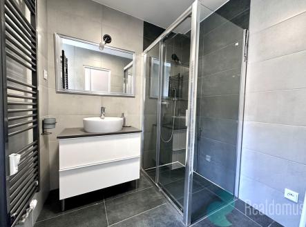 Pronájem bytu, 1+1, 45 m²