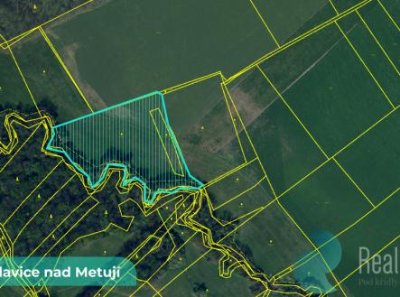 Prodej pozemku, zemědělská půda, 43 749 m²