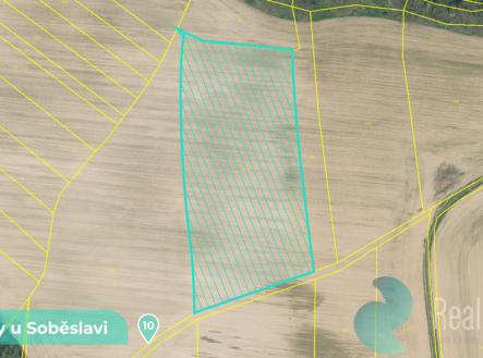 Prodej pozemku, trvalý travní porost, 11 561 m²