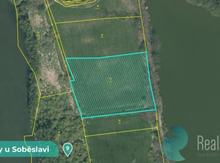 Prodej pozemku, trvalý travní porost, 11 561 m²