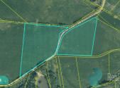 Prodej pozemku, trvalý travní porost, 12 559 m²