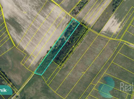 Prodej pozemku, zemědělská půda, 3 089 m²