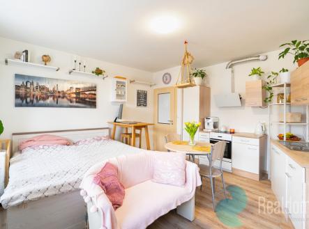 Prodej bytu, 1+kk, 33 m²