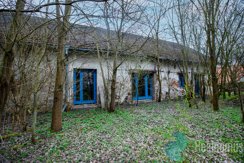 5d4-0476.jpg