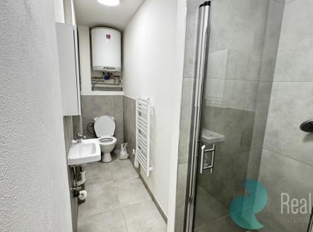 Pronájem bytu, 1+1, 30 m²