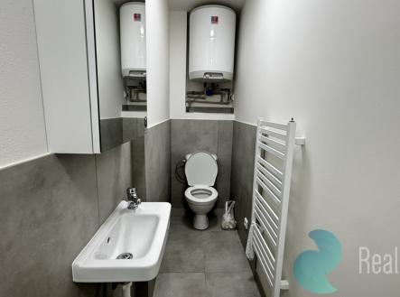 Pronájem bytu, 1+1, 30 m²