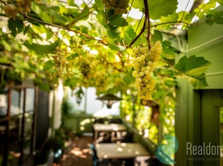 Prodej restaurace, 320 m²